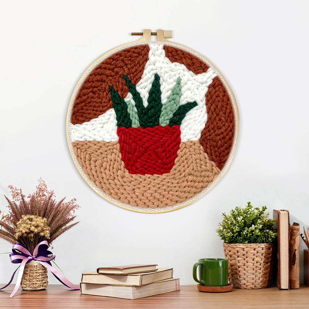 Finished potted succulent artwork displayed on a wall