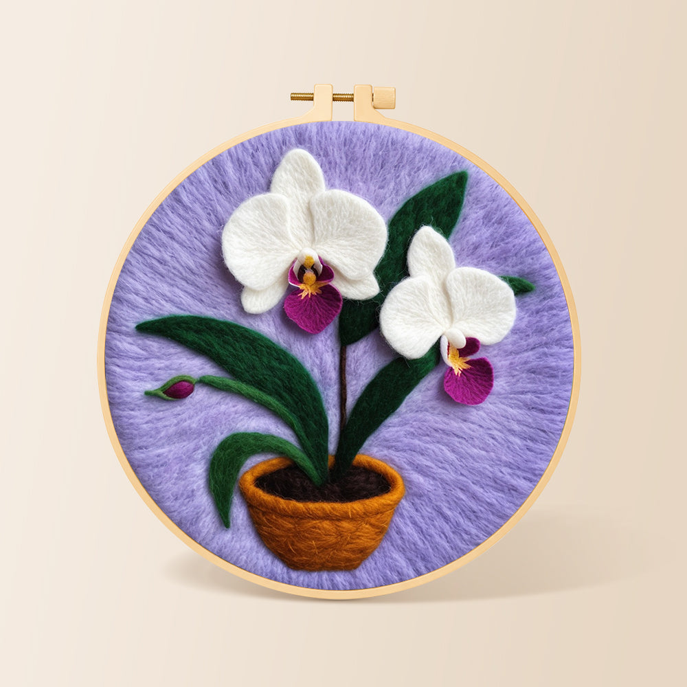 Potted white orchid needle felting kit for beginners with a round wooden frame